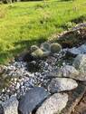 Gartengestaltung - 