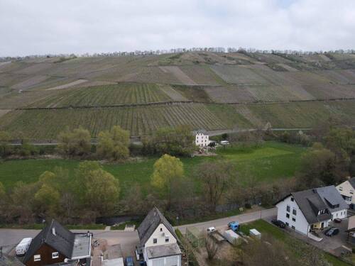 Blick auf die Weinberge - Grundstück in Neumagen-Dhron zum Kaufen