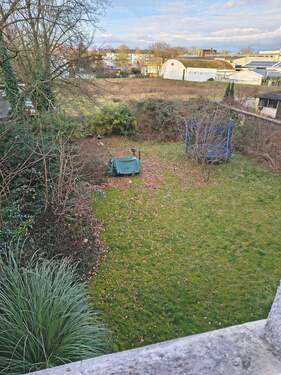 Blick in den Garten - 