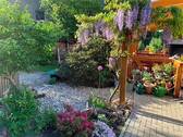 Bunter Garten - 
