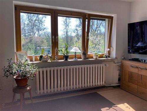 Fensterfront Wohnzimmer - 
