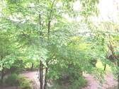 Blick aus dem Schlafzimmer - 