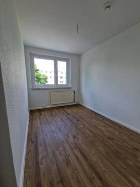 Zimmer3 - 