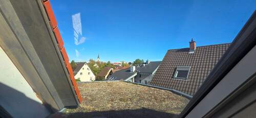 20251007_111211.jpg - 