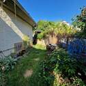 Haus-Garten-4.jpeg - 