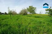Streuobstwiese - 