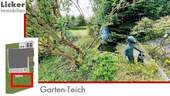 Garten-Teich - 