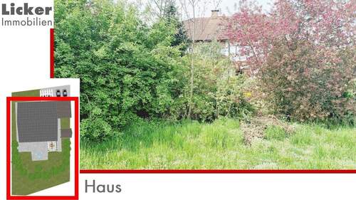 Haus - 