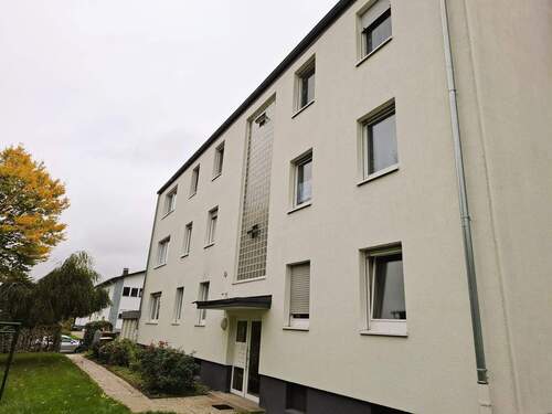 20251007_141343.jpg - Schöne, helle, geräumige 3 - Zimmer Wohnung in ruhiger Wohnlage von Bad Wildungen