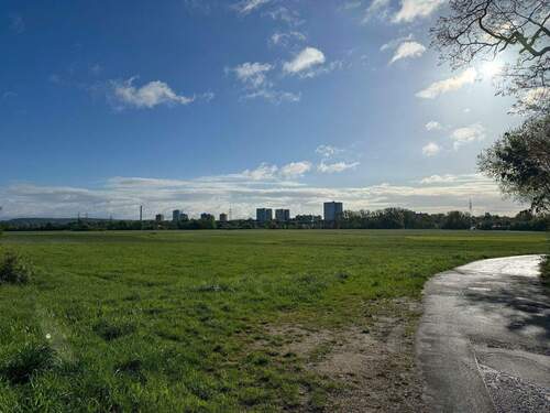 Aussicht Wiesengrund - 