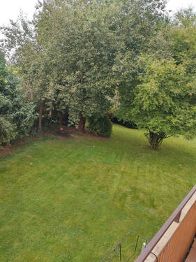 Ausblick hinten - 