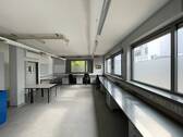 Labor - 