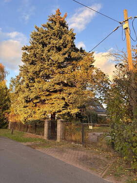 Bild 3 - Grundstück in Hoppegarten-Hönow