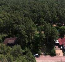Wohnen im Wald: Idyllisches Baugrundstück nahe des Muldestausees