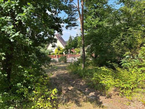 Blick zur Straße - Grundstück in Muldestausee