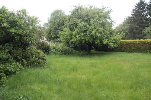 Garten event. Baugrund - 