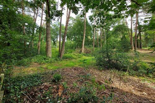 Bild 1 - Baugrundstück in ruhiger Nachbarschaft und allerschönster Lage nahe Worpswede