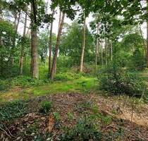 Baugrundstück in ruhiger Nachbarschaft und allerschönster Lage nahe Worpswede - Worpswede / Neu Sankt Jürgen