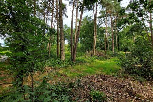 Bild 2 - Grundstück zum Kaufen in Worpswede / Neu Sankt Jürgen