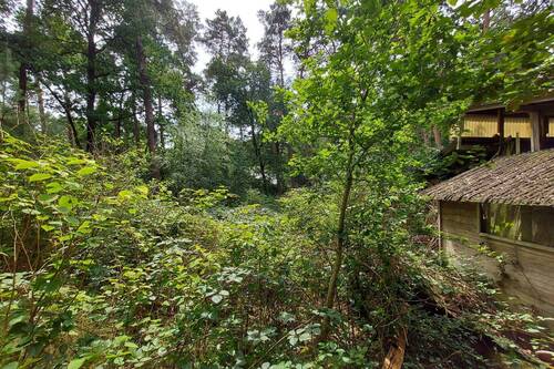 Bild 3 - Grundstück in Worpswede / Neu Sankt Jürgen