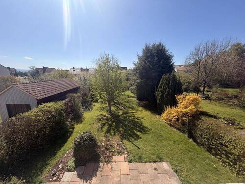 Blick in den Garten - 