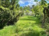 Idyllisch mit viel Grün - 945 m² Baugrund in begehrter Wolkersdorfer Naturrandlage – großzügiges EFH-Grundstück mit Teilungsoption