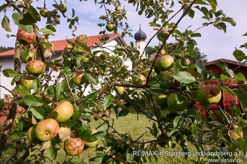 Eigener Garten mit Obstbäumen - 