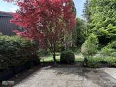 Terrasse Westseite - 