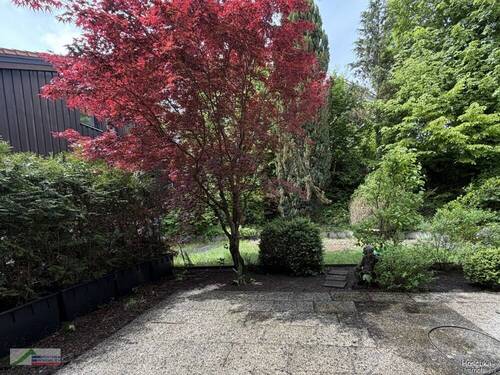 Terrasse Westseite - 