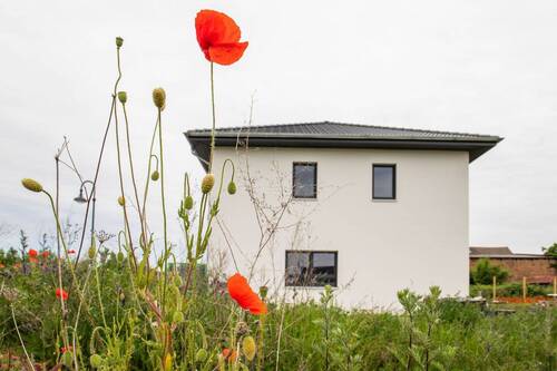 Das Baugebiet - Grundstück in Lützen