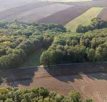 Laubholzflächen in Lindau - 7.000,00 EUR Kaufpreis, ca.  0,00 m² in Heideland OT Lindau (PLZ: 07613) Rudelsdorf