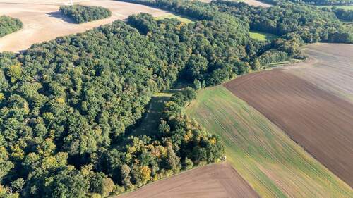 Ansicht - Grundstück zum Kaufen in Heideland OT Lindau