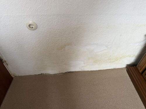 aufsteigende Feuchtigkeit - 