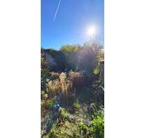 Seltene Gelegenheit - Grundstück in Hanglage im Herzen von Plaidt