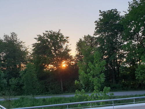 Sonnenuntergang - 
