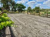 Großes Sonnendeck - Lebensqualität mit sonniger Perspektive direkt an der Elbe