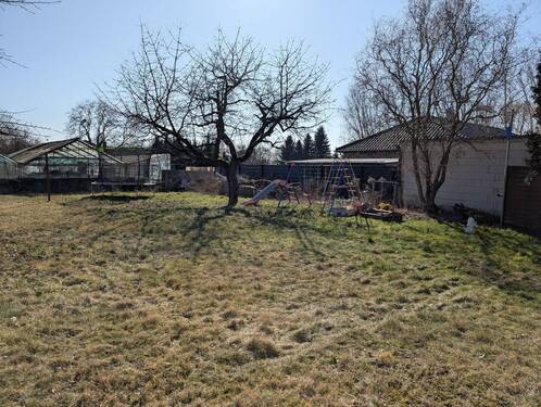 PXL_20260306_104738845.jpg - 