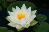 Bild 19 - 