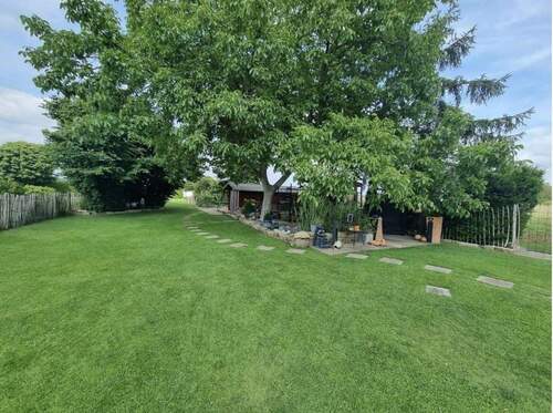 Blick in den Garten - 