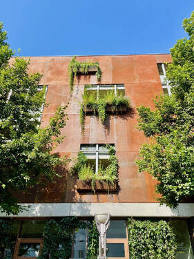 Bild3 - 3 Zimmer Etagenwohnung in Singen (Hohentwiel)