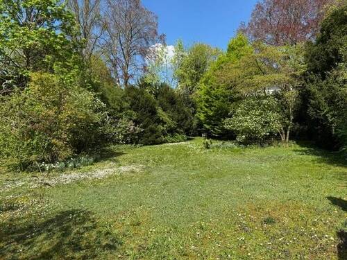 Garten Ansicht I - Grundstück zum Kaufen in Frankfurt am Main