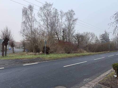 IMG_1916 - Grundstück in Morschen