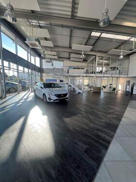 Ausstellungs-und Bürofläche - Gewerbeobjekt (Büro, Produktion, Verkauf) zur Miete in Achern