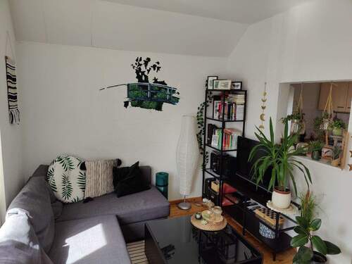 Photo_2023-08-14_16-48-38 - 