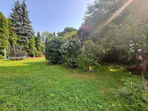 Gemeinschaftsgarten.jpg - 