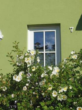 Bild 4 - Mehrfamilienhaus, Wohnhaus mit 107,00 m&sup2; in Glowe zum Kaufen