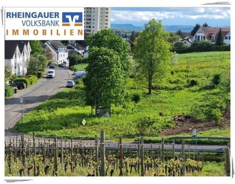 Exposé - ** Drei Baugrundstücke am Tonberg - Geisenheim **