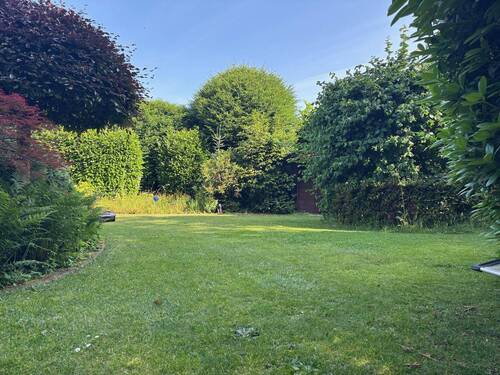 Blick in den Garten - 