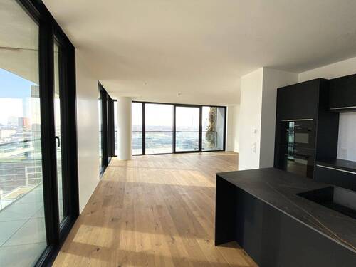 Wohn-/Ess-/Kochbereich - 