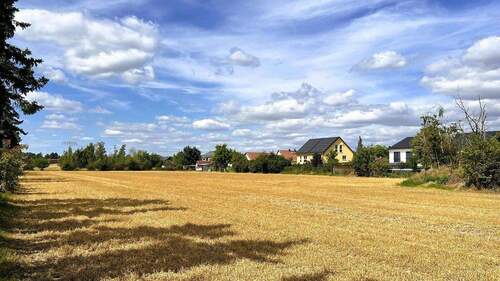Ansicht vom Feld - 6 Zimmer Doppelhaushälfte zur Miete in Leipzig